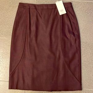 NWT Hugo Boss Skirt